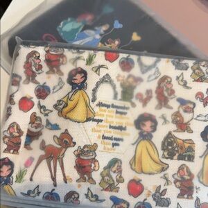 Disney Pouches